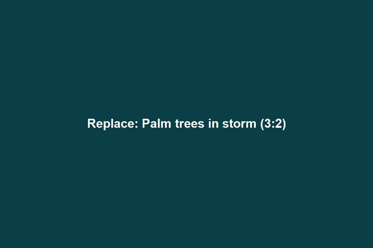 Palm trees bending in strong wind under gray storm clouds